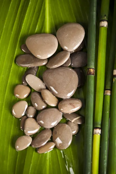 Zen bambu — Stockfoto