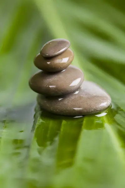 Natural wellness, zen — Stock Photo, Image