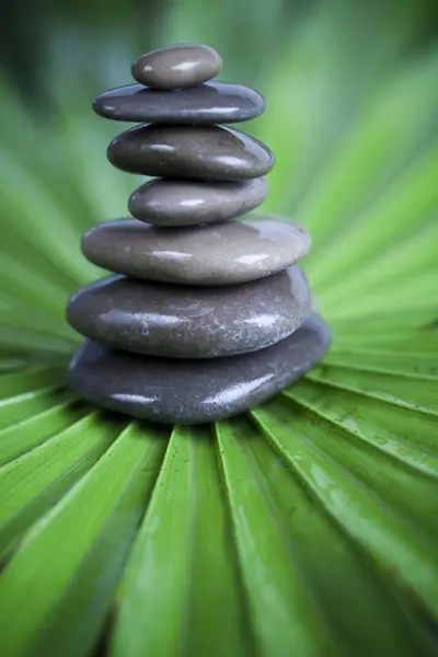 Naturlig wellness, zen — Stockfoto