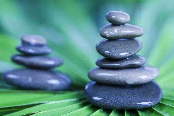 Natural wellness, zen — Stock Photo, Image