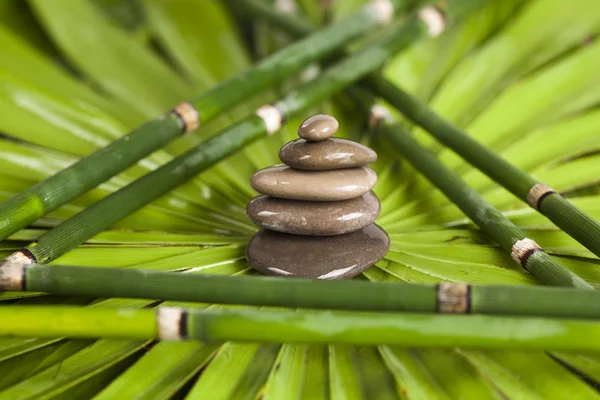 Lo zen è una freschezza — Foto Stock