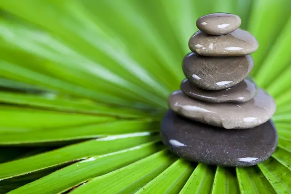 Természetes wellness, zen — Stock Fotó