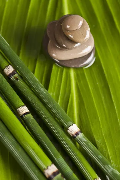 Zen bambu — Stockfoto
