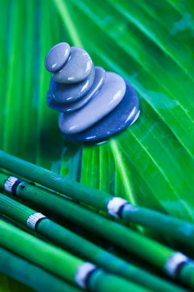Zen bambu — Stockfoto