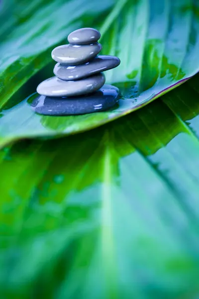 Spa and zen still life Stock Picture