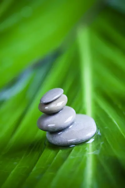 Natural wellness, zen Stock Image