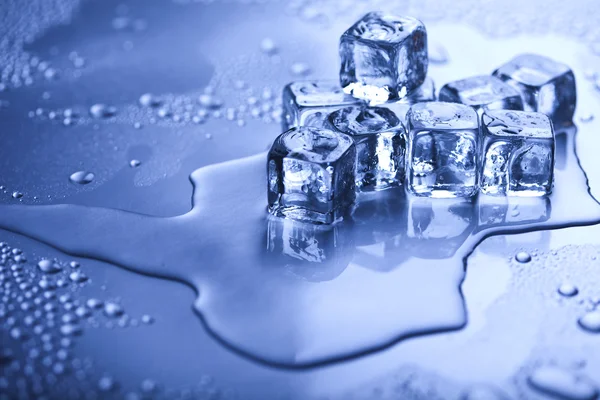stock image Melting ice cubes