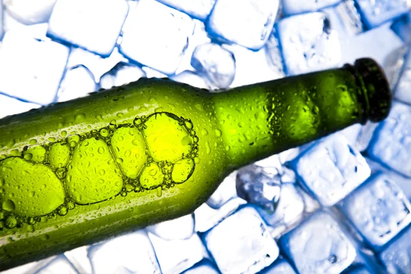 Пиво в льоду — стокове фото