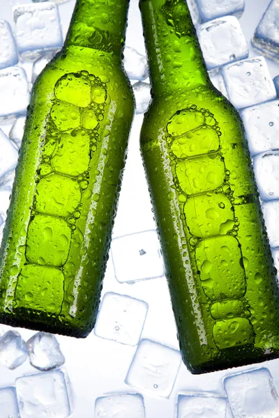 Pivo je v ledu — Stock fotografie