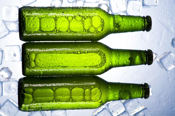 Beer is in ice Stock Picture