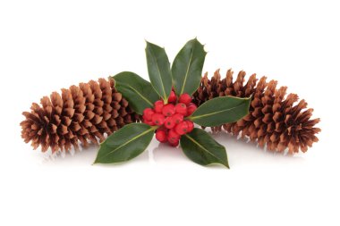 Holly and Pine Cone Decoration clipart