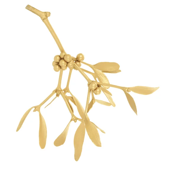 Golden Mistletoe — Stock Photo, Image