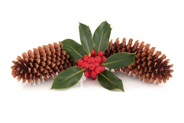 Holly en pine cone-decoratie — Stockfoto