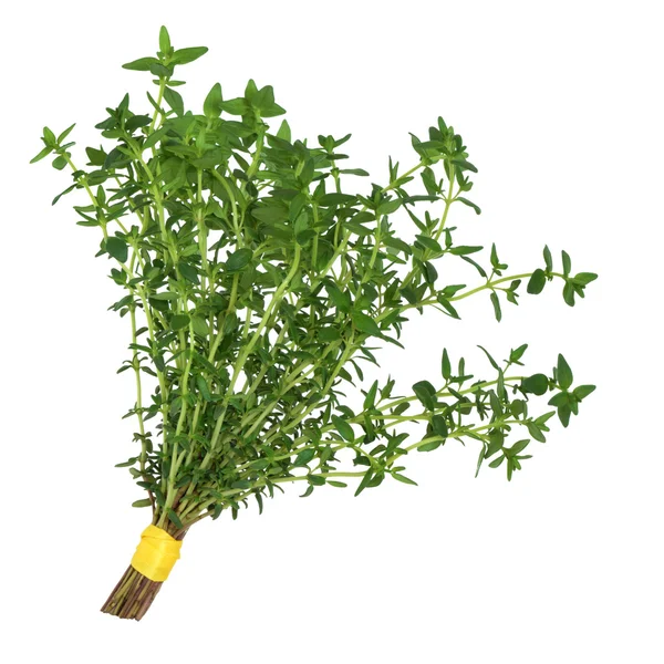 Thym Herb Leaf Posy — Photo