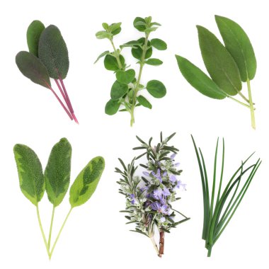 Herb Leaf Selection clipart