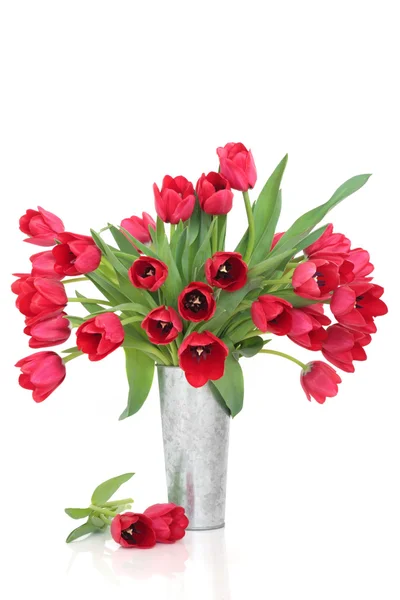 Rote Tulpenblüten — Stockfoto