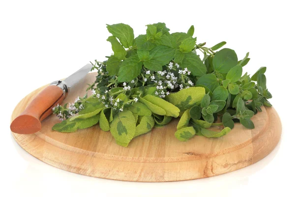 Fresh Herb Leaves — Stock Photo, Image