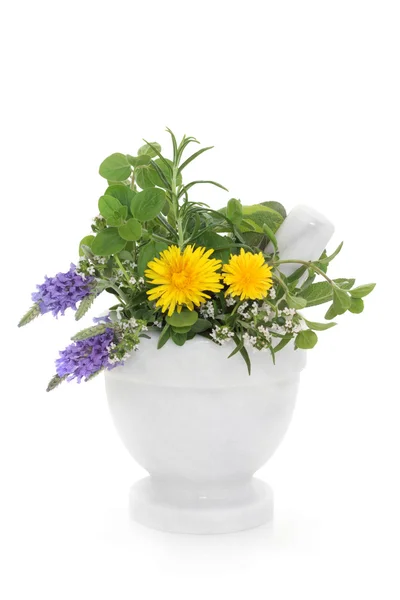 Herb a wildflower výběr — Stock fotografie