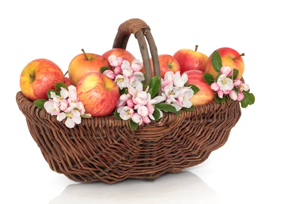 Elma ve çiçek Güzellik — Stok fotoğraf