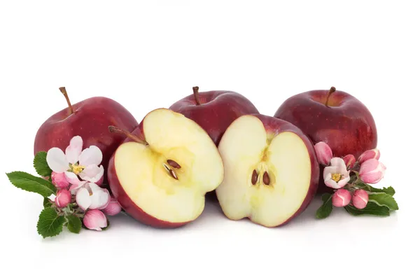 Fiore di mele e fiori — Foto Stock
