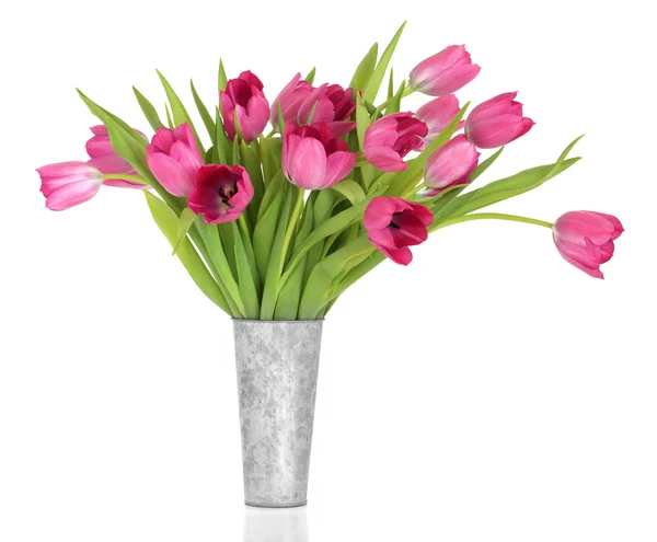 Rosa tulipán flor belleza — Foto de Stock
