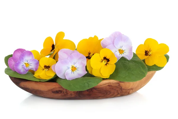 Viola Flower Salad — Stock Photo, Image