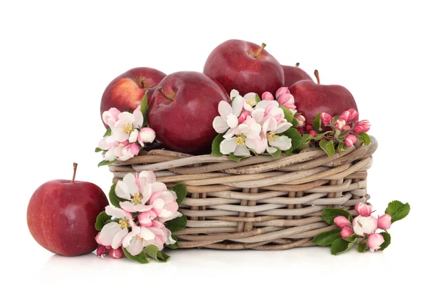 Jablka a květ květ — Stock fotografie