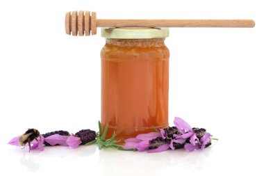 Lavender Honey clipart