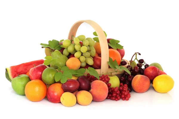 Selectarea fructelor — Fotografie, imagine de stoc