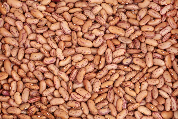 Pinto Beans — Stock Photo, Image
