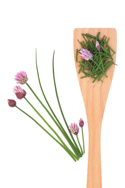 Chives Herb with Flowers — Stock Photo, Image