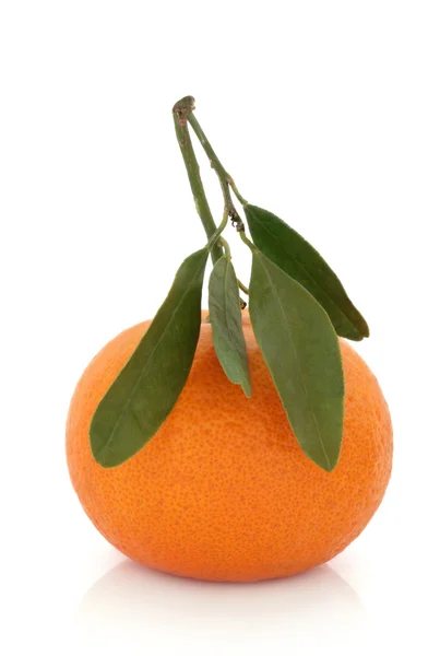 Mandarinenfrucht mit Blattzweig — Stockfoto