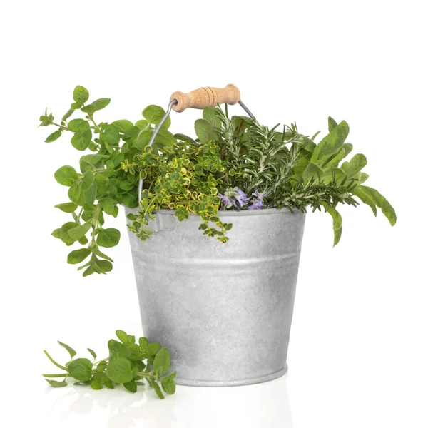 Herb Leaf Mixture — Stock Photo, Image