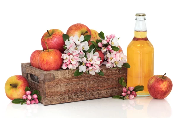 Jablečné víno, jablka a květ květ — Stock fotografie
