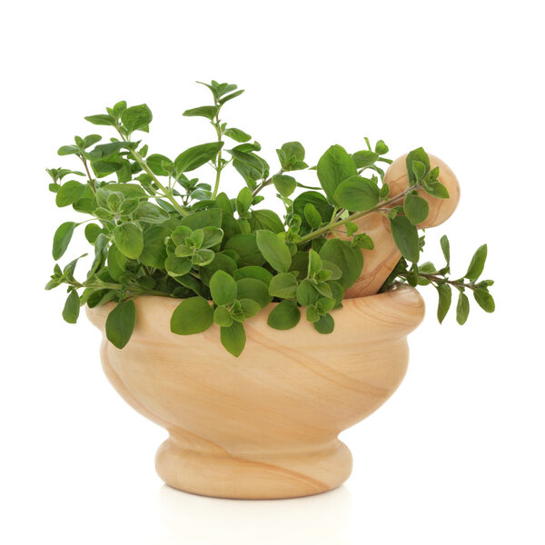 Oregano Herb Leaves