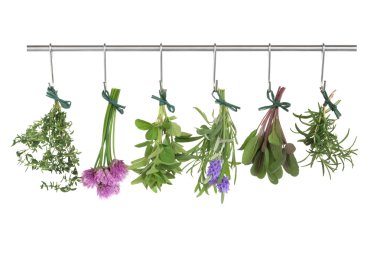 Herbs Hanging and Drying clipart