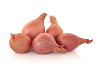 Shallots clipart