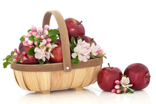 Äpplen och blomma blomma — Stockfoto