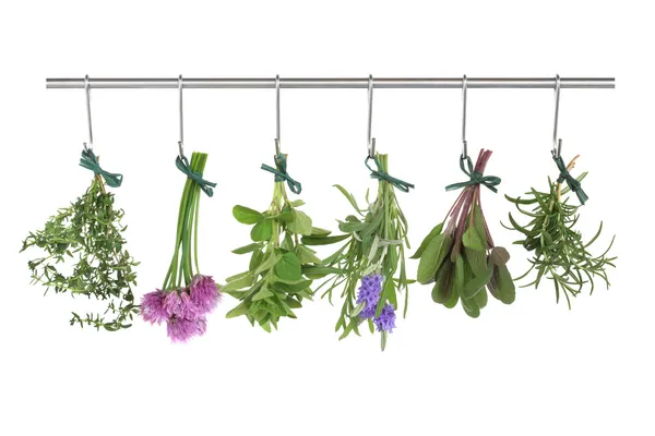 Herbs Hanging and Drying — Stock Photo, Image