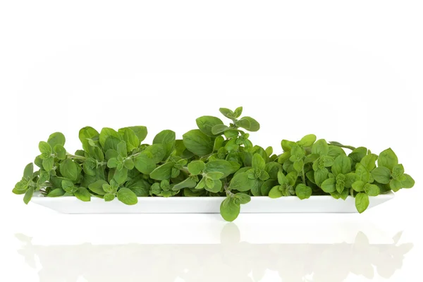 Oregano Herb Leaves — Stock Photo, Image