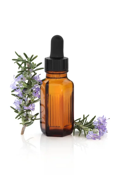 Terapia Herbal Rosemary — Fotografia de Stock