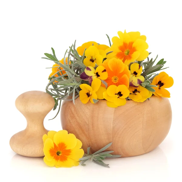 Ervas e flores para o cuidado da pele — Fotografia de Stock