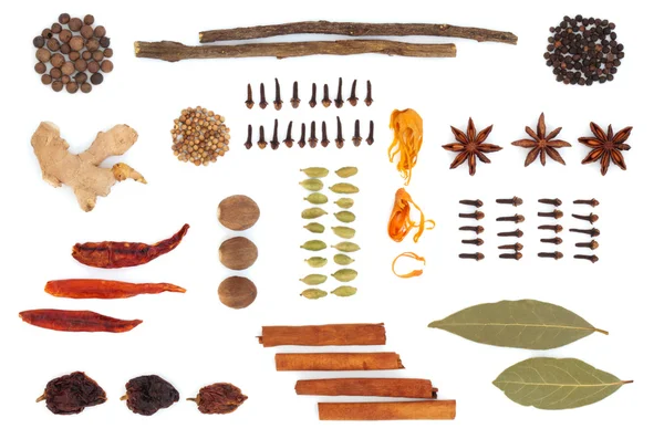 stock image Spice and Herb Selection