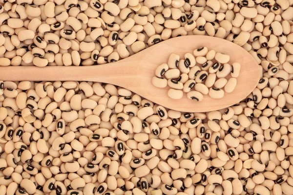 Guisantes de ojos negros — Foto de Stock