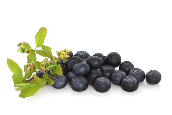 Blueberries and Flower Sprig — Stock Photo, Image