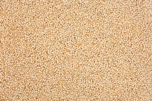Grãos de cereais de quinoa — Fotografia de Stock