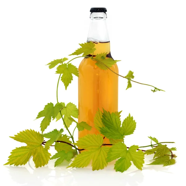 Beer Bottle and Hop Leaves — Stock Photo, Image