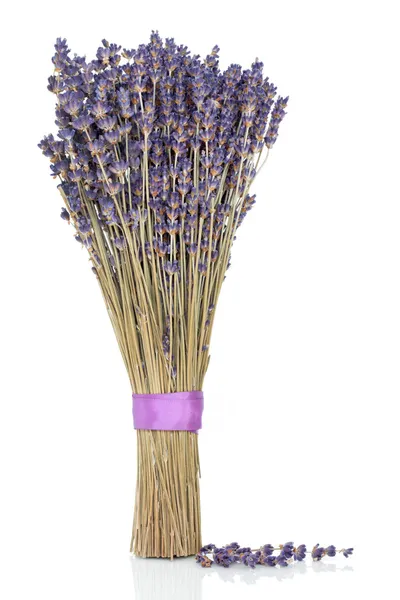 Lavendel ört blommor — Stockfoto