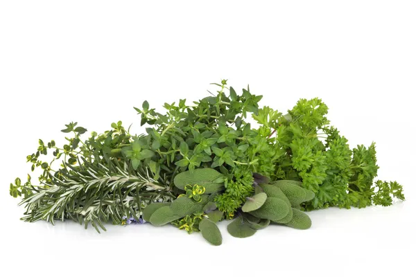 Petrezselyem zsálya, rozmaring és kakukkfű gyógynövények — Stock Fotó