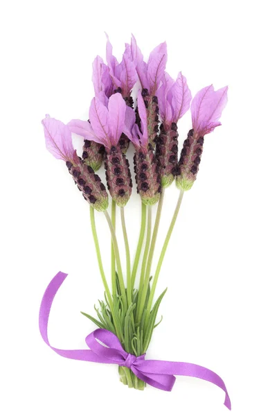 Lavendel ört blomma bukett — Stockfoto